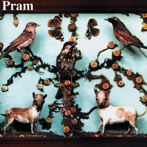 Pram | The Museum of Imaginary Animals | Album-Vinyl