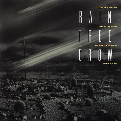 Rain Tree Crow | Rain Tree Crow | Album-Vinyl