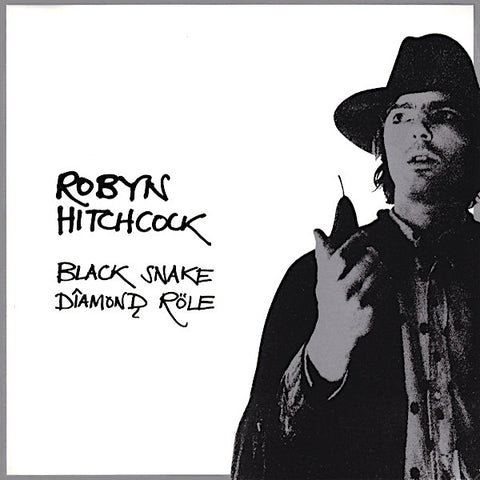 Robyn Hitchcock | Black Snake Diamond Role | Album-Vinyl