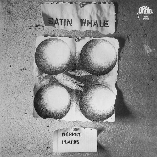 Satin Whale | Desert Places | Album-Vinyl