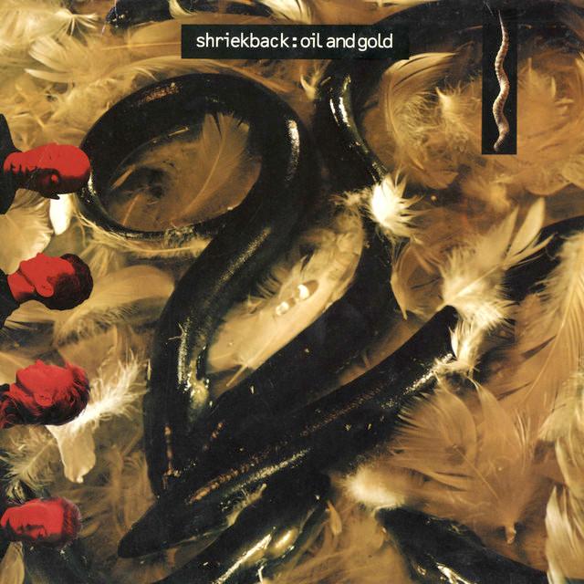 Shriekback | Oil and Gold | Album-Vinyl