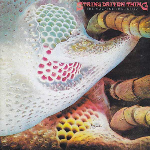 String Driven Thing | The Machine That Cried | Album-Vinyl