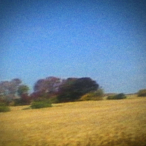 Sun Kil Moon | Benji | Album-Vinyl