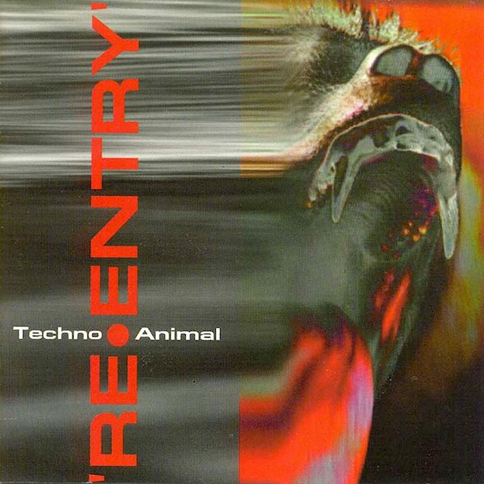 Techno Animal | Re-Entry | Album-Vinyl