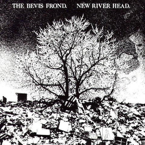 The Bevis Frond | New River Head | Album-Vinyl