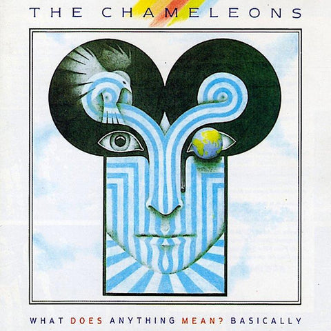 The Chameleons | What Does Anything Mean? Basically | Album-Vinyl