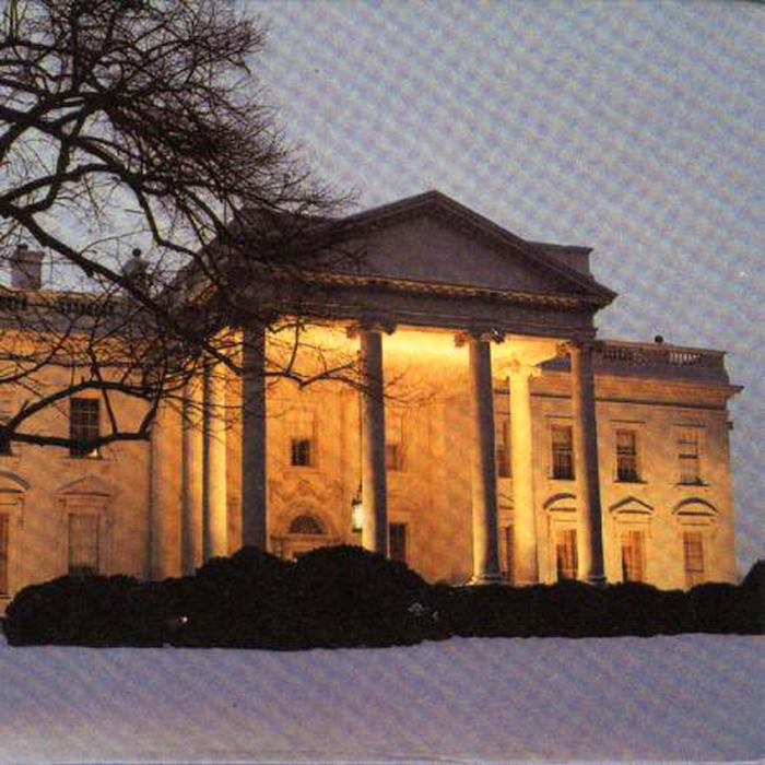 The Dead C | White House | Album-Vinyl