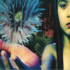 The Future Sound of London | Lifeforms | Album