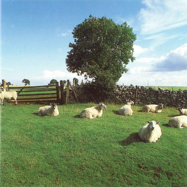 The KLF | Chill Out | Album-Vinyl