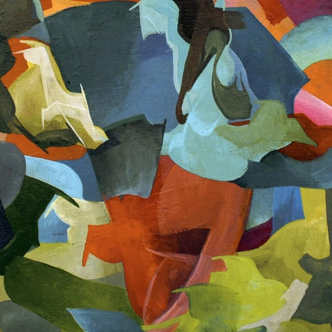 The Olivia Tremor Control | Black Foliage: Animation Music Volume 1 | Album-Vinyl