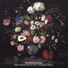 The Wild Swans | The Coldest Winter for a Hundred Years | Album