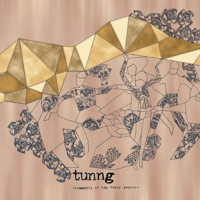 Tunng | Comments of the Inner Chorus | Album-Vinyl