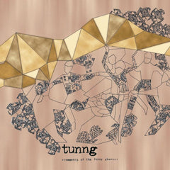 Tunng | Commentaires du Chœur Intérieur | Album