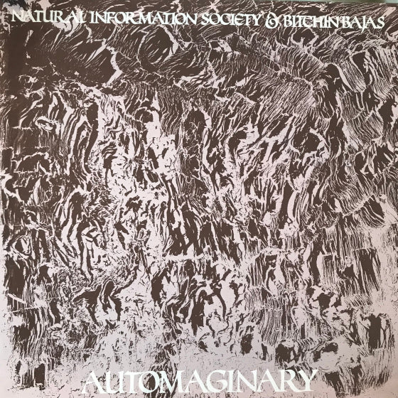 Bitchin Bajas | Automaginary | Album-Vinyl