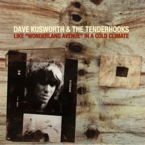 Dave Kusworth | Like Wonderland Avenue in a Cold Climate (w/ The Tenderhooks) | Album-Vinyl