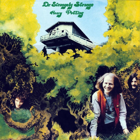 Dr Strangely Strange | Heavy Petting | Album-Vinyl