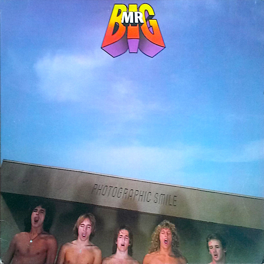 Mr Big | Photographic Smile (Comp.) | Album-Vinyl