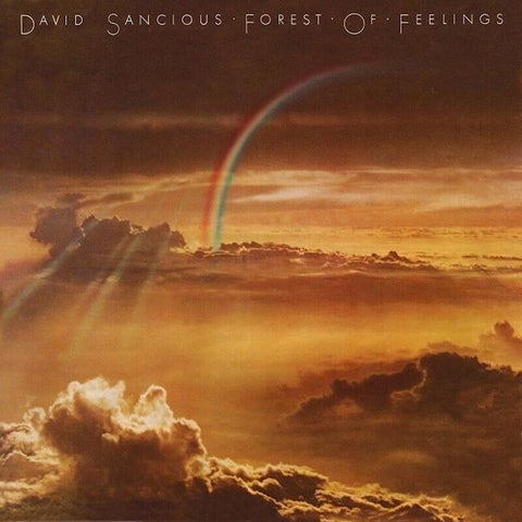 David Sancious | Forest of Feelings | Album-Vinyl