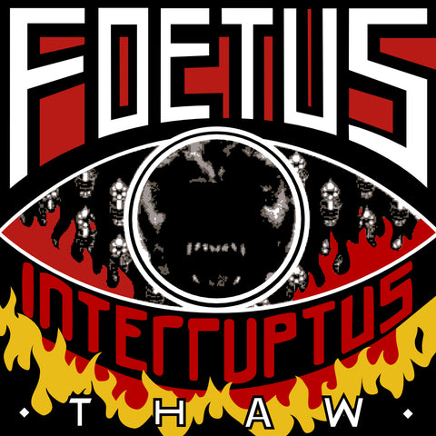 Foetus | Thaw | Album-Vinyl