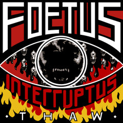 Foetus | Décongeler | Album