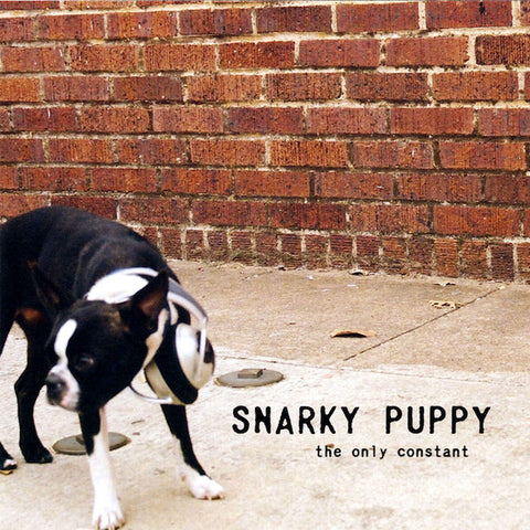 Snarky Puppy | The Only Constant | Album-Vinyl