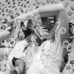 Björk | Vespertine | Album